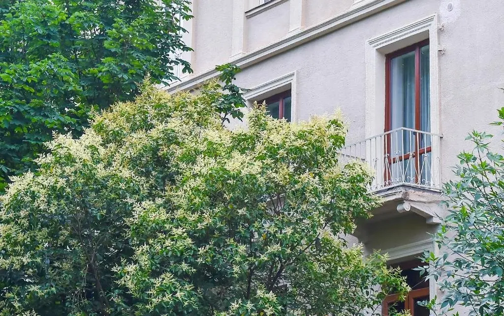 Кутаиси: Exclusive Apartament the Heart of Old Kutaisi