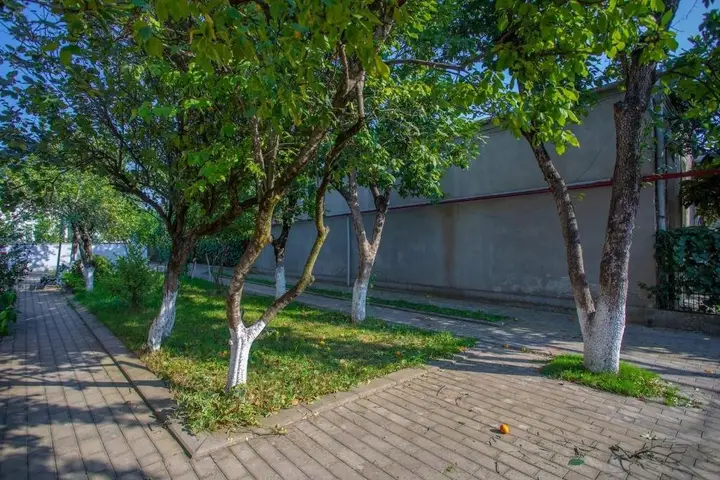 Кутаиси: Natsvlishvili Apartment