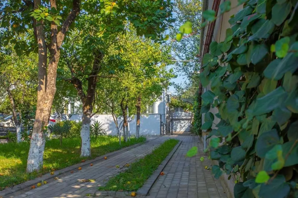 Кутаиси: Natsvlishvili Apartment