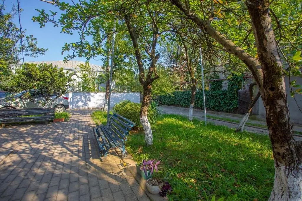 Кутаиси: Natsvlishvili Apartment