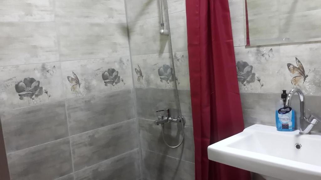 Кутаиси: Hostel Daisy