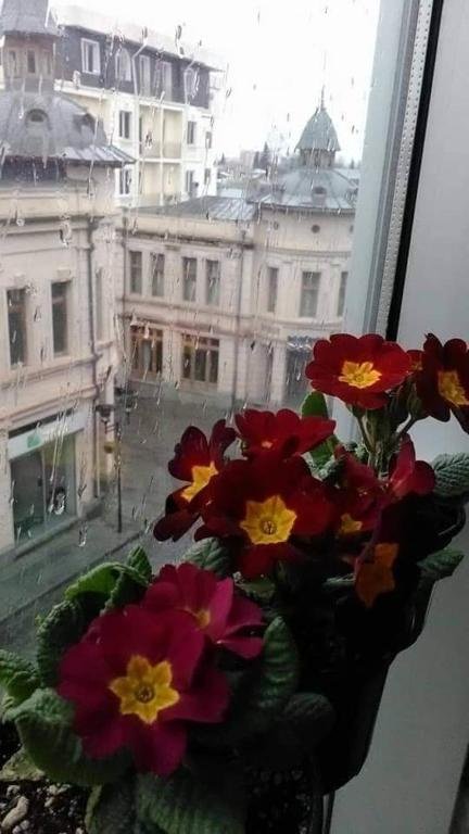 Кутаиси: Tamar's Apartment
