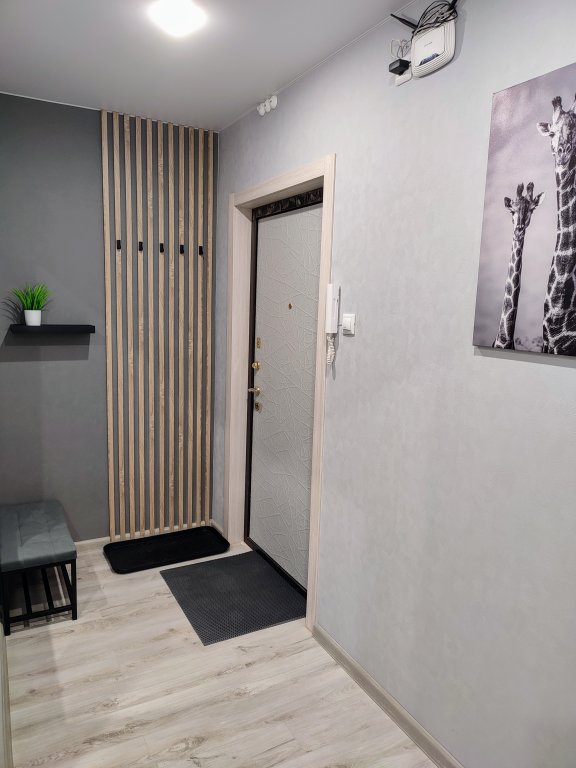Петрозаводск: Квартира Gosti