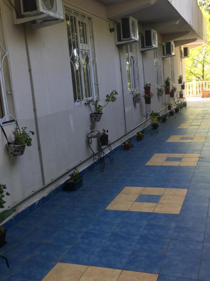 Сочи: Ozet Guest House