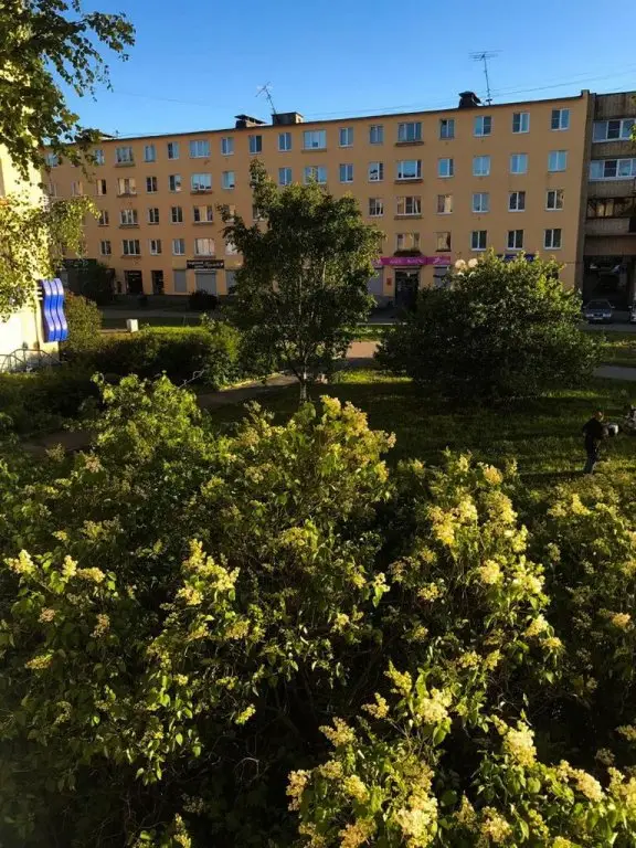 Апартаменты на Красной — фото 1