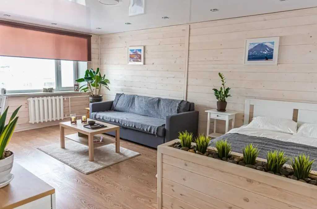 Петропавловск-Камчатский: Апартаменты Студия Тушканова 3