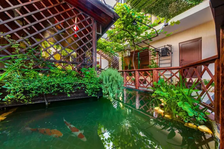 Геленджик: Guest House Goldfish