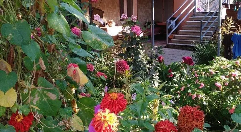 Ахалцихе: Tsiskari Guest house