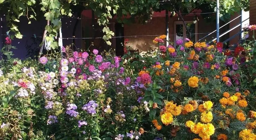 Ахалцихе: Tsiskari Guest house