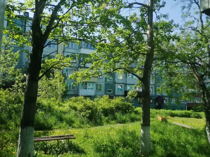 Петропавловск-Камчатский: Апартаменты Агентство уютных квартир