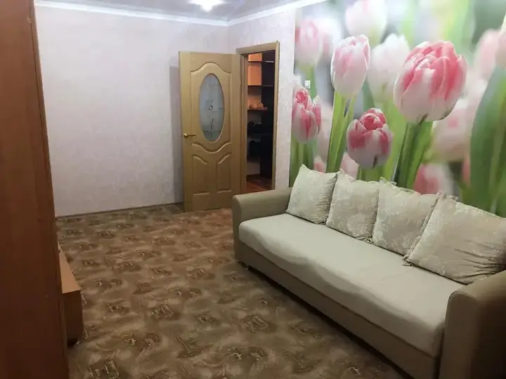 Петропавловск-Камчатский: Ladom Na Chubarova 14 Apartments