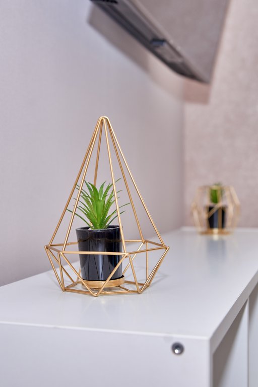 Владивосток: Апартаменты VIAHOME на Толстого