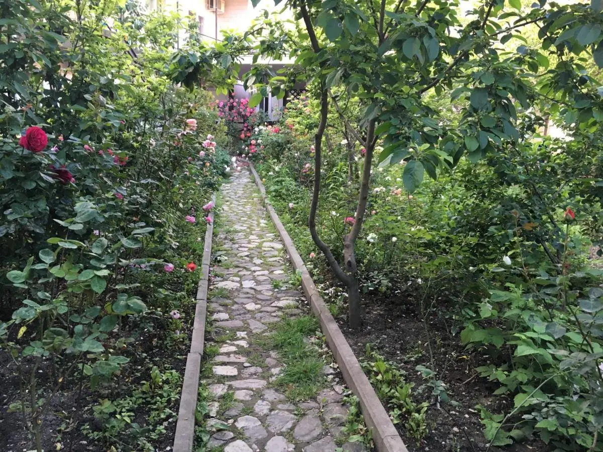 Геленджик: Guesthouse on Krasnykh partizan 4
