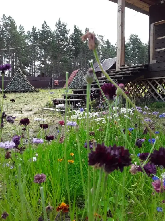 Хужир: Family House Guest House