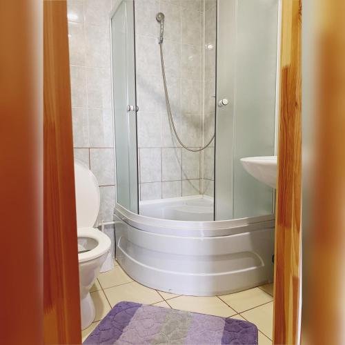 Лепель: Inn 555