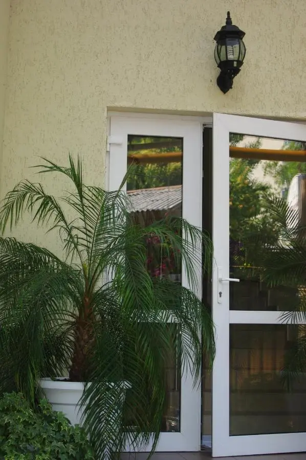 Сочи: Guest House on Vinogradnaya