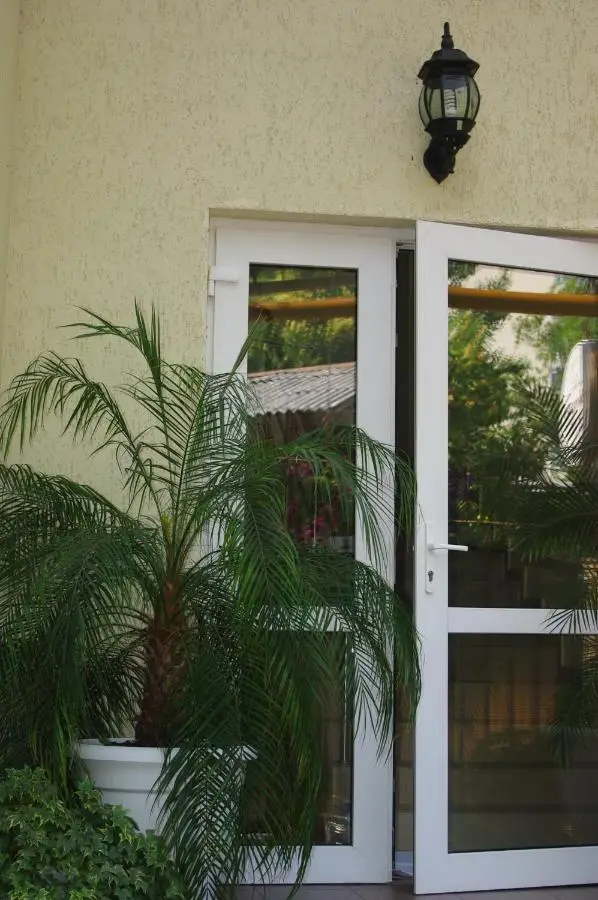 Сочи: Guest House on Vinogradnaya