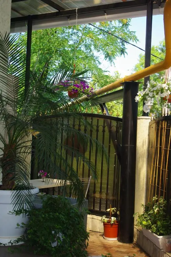 Сочи: Guest House on Vinogradnaya