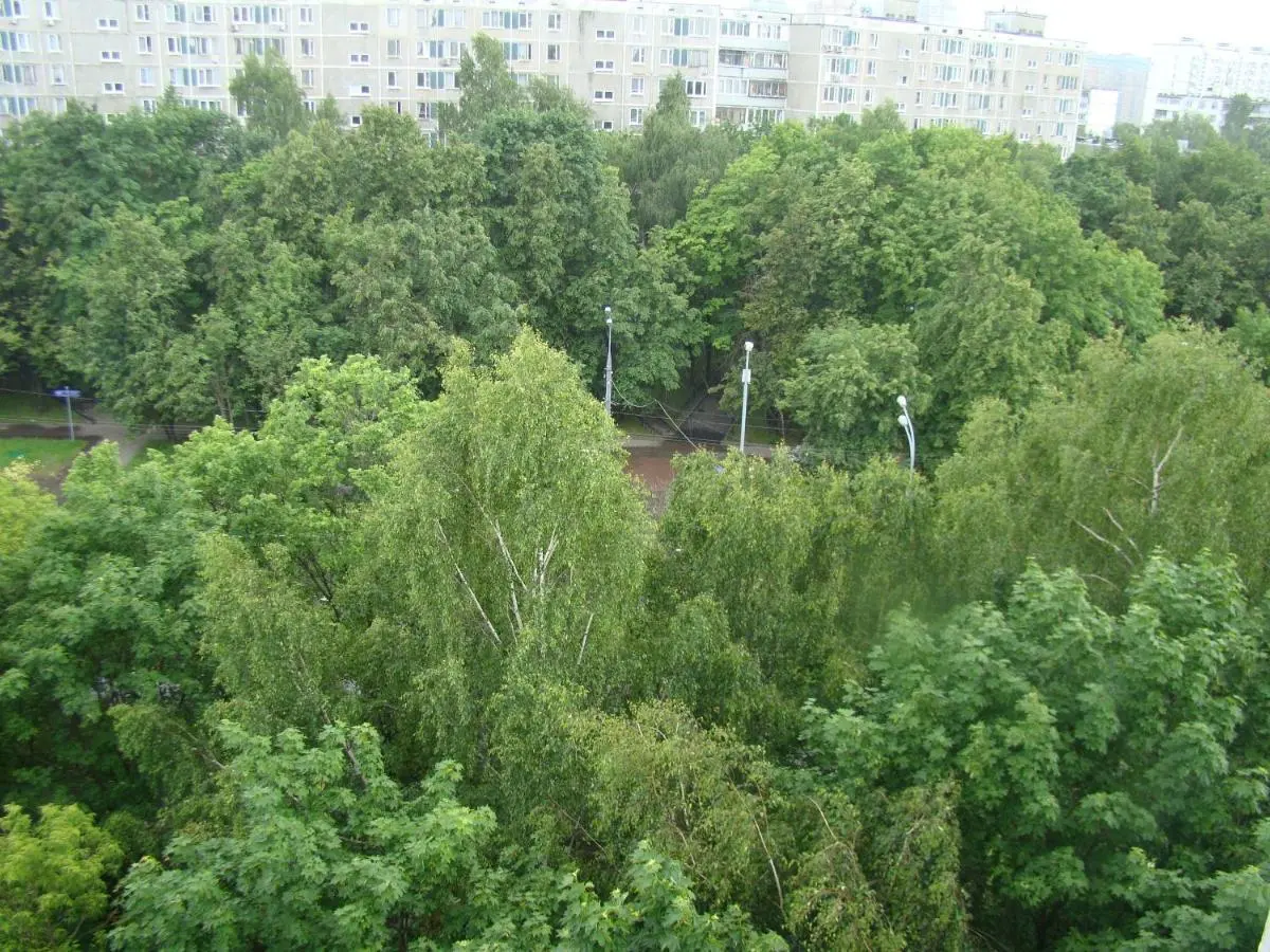 Москва: Apartments 4/4