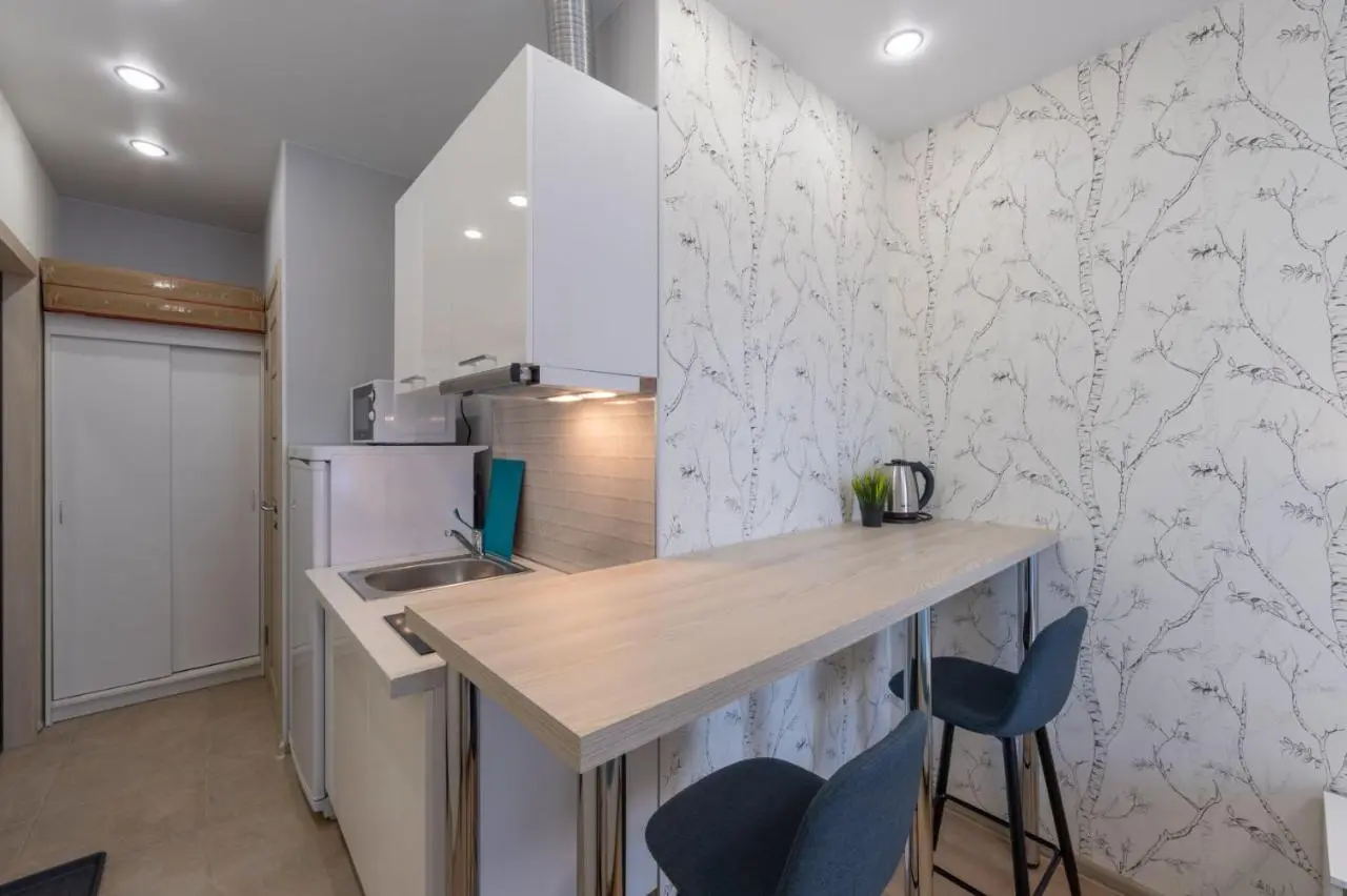 Москва: InHome24 Sky Way Studios near Vnukovo airport