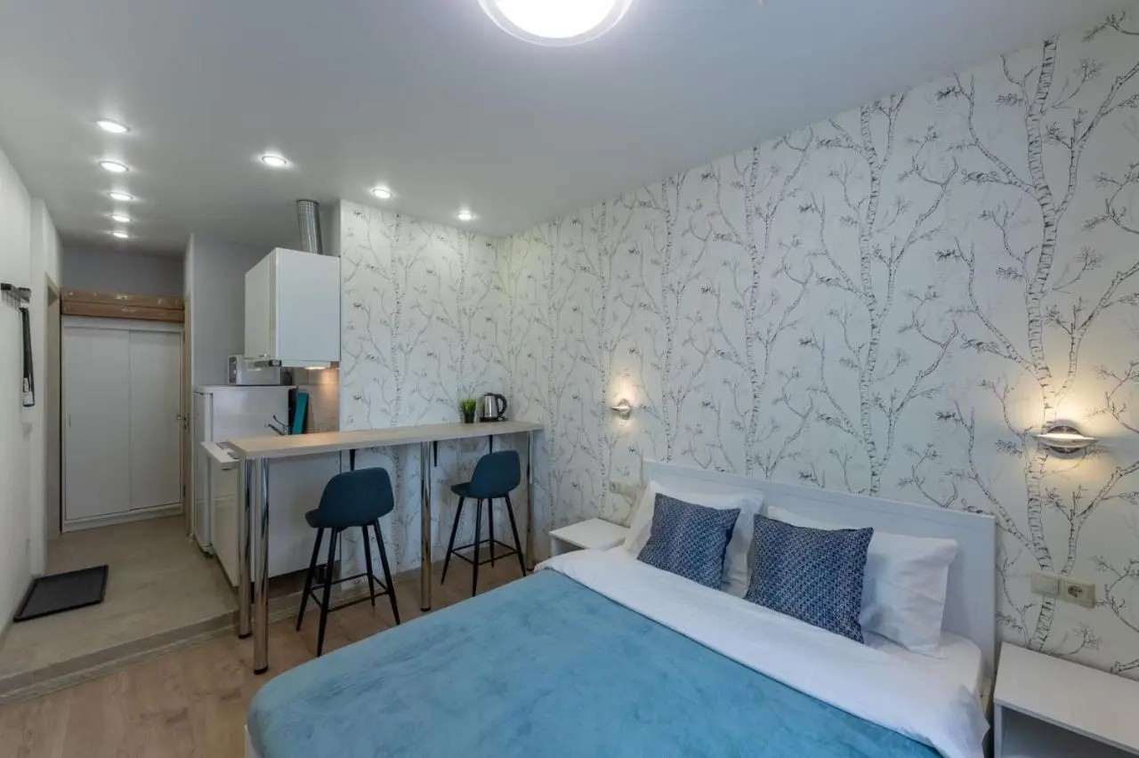 Москва: InHome24 Sky Way Studios near Vnukovo airport