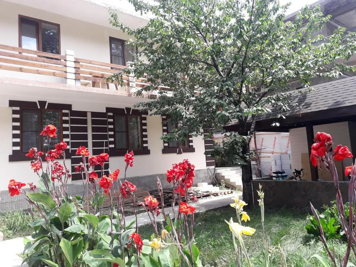 Сочи: Guesthouse Baston