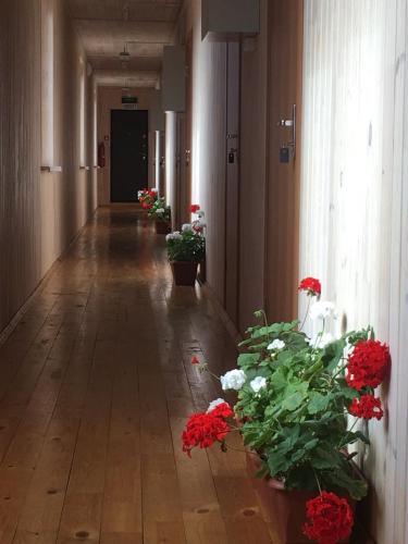 Хужир: Hotei Guest House