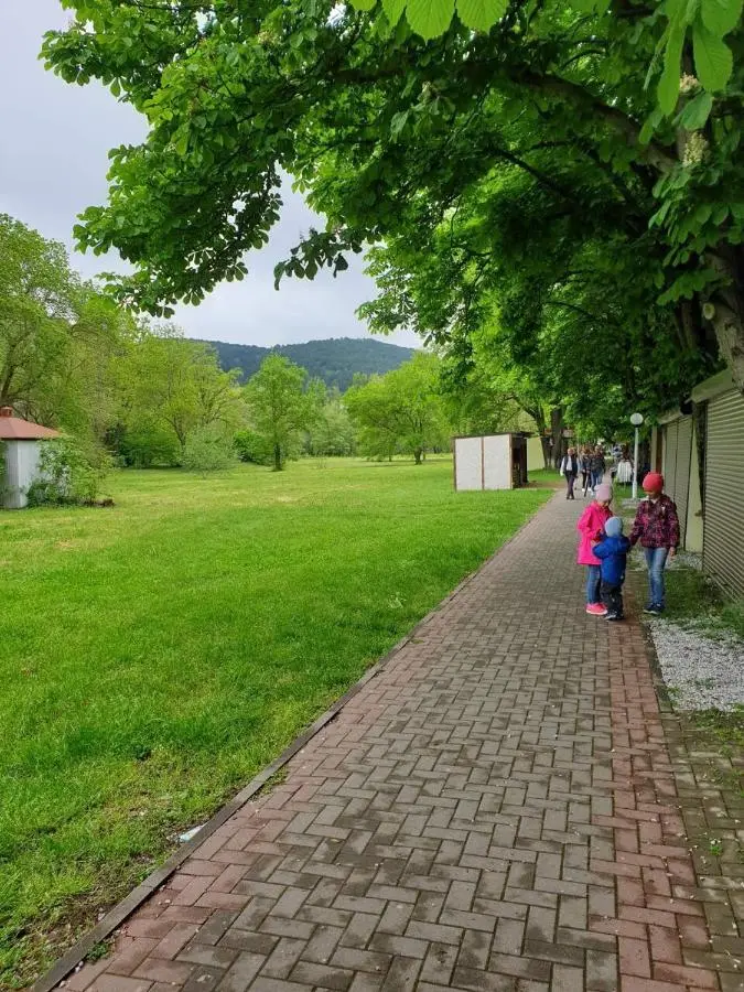 Архипо-Осиповка: Гостевой Дом Алиса