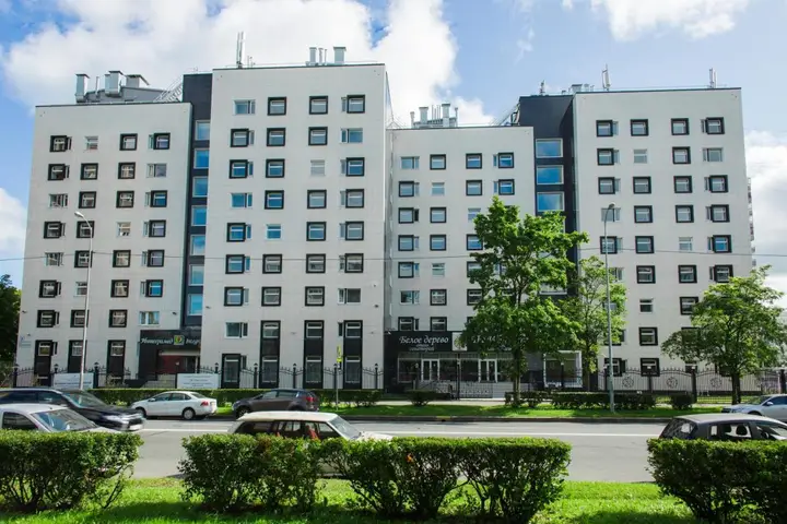Санкт-Петербург: Отель Белое Дерево