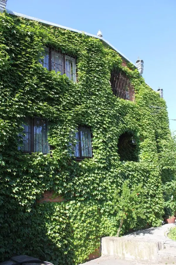 Краснодар: Guest house Vladimir