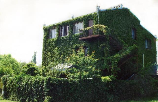 Краснодар: Guest house Vladimir