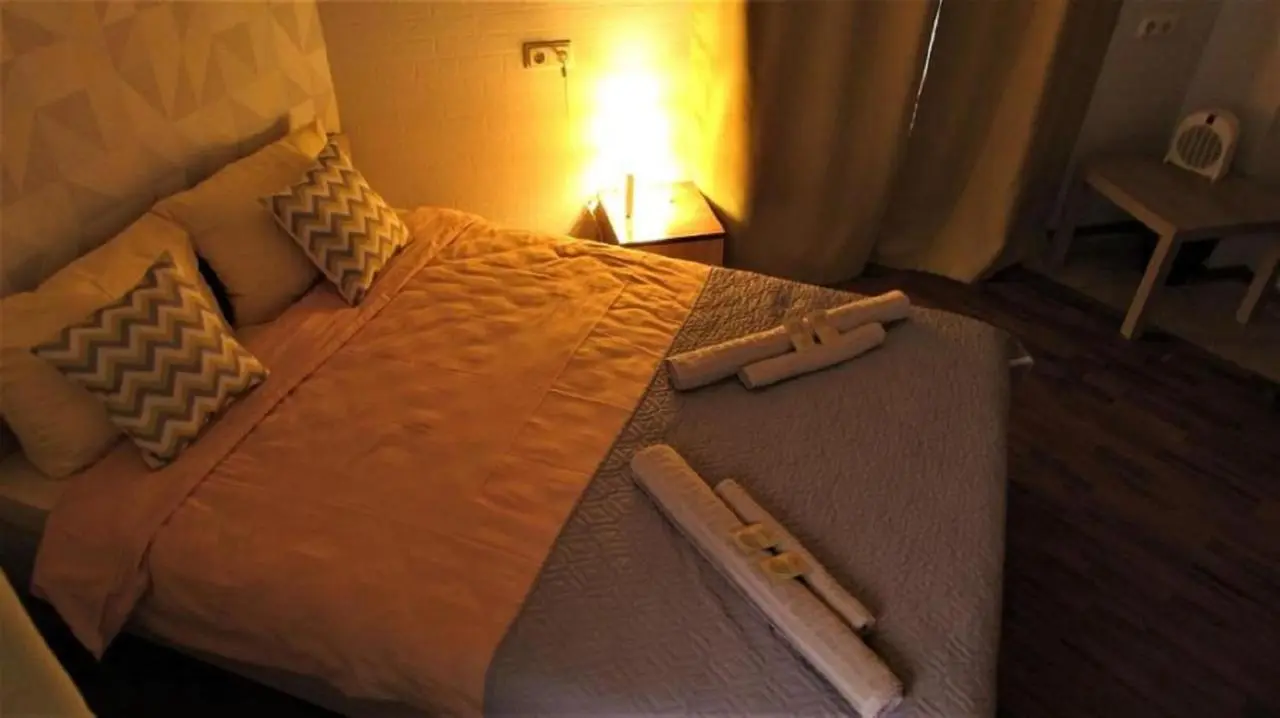 Sukhaparina: Borovaya Art Hotel