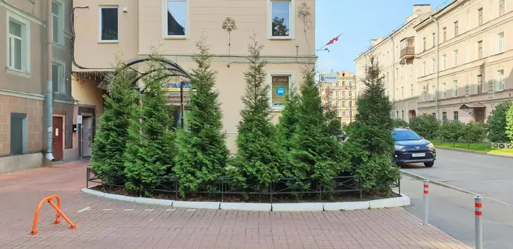 Санкт-Петербург: Хостел «Маэстро»