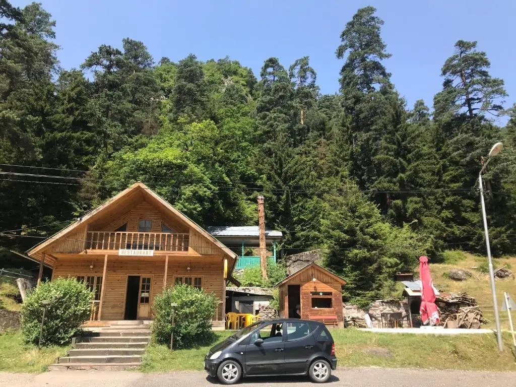 Боржоми: Holiday Home Borjomi-Likani