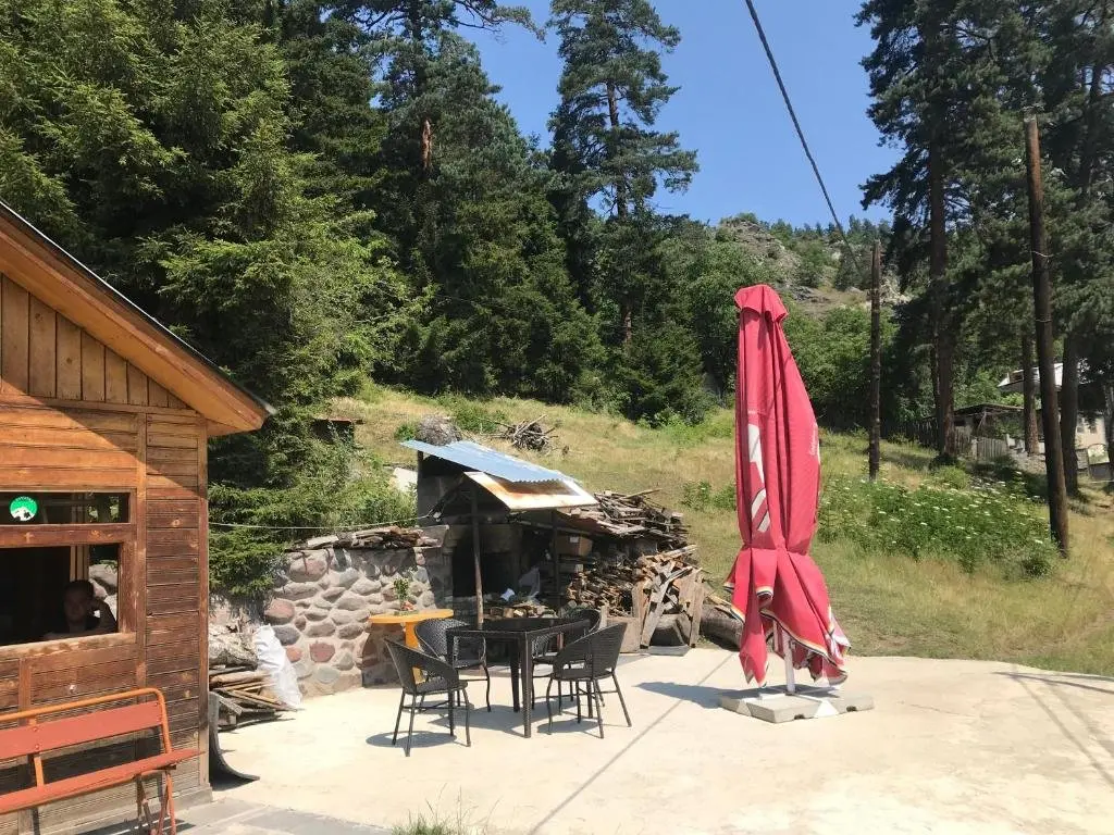 Боржоми: Holiday Home Borjomi-Likani