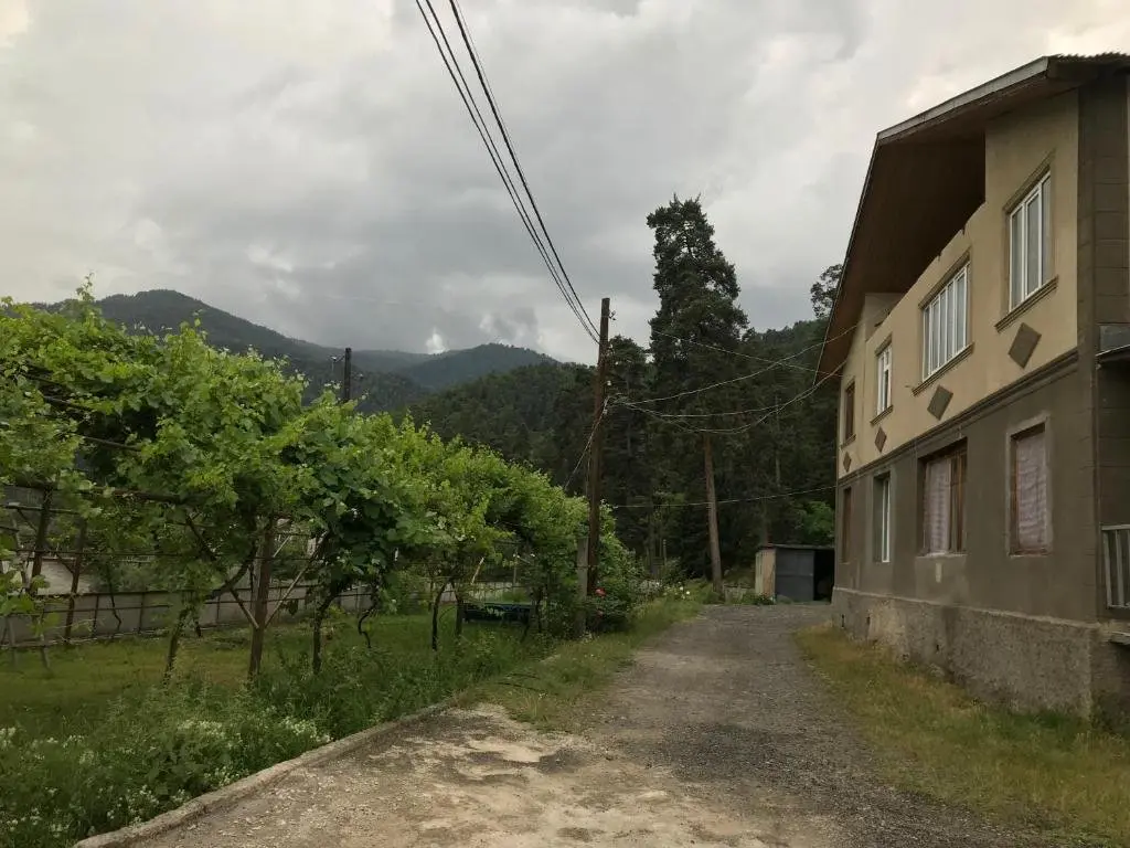 Боржоми: Holiday Home Borjomi-Likani