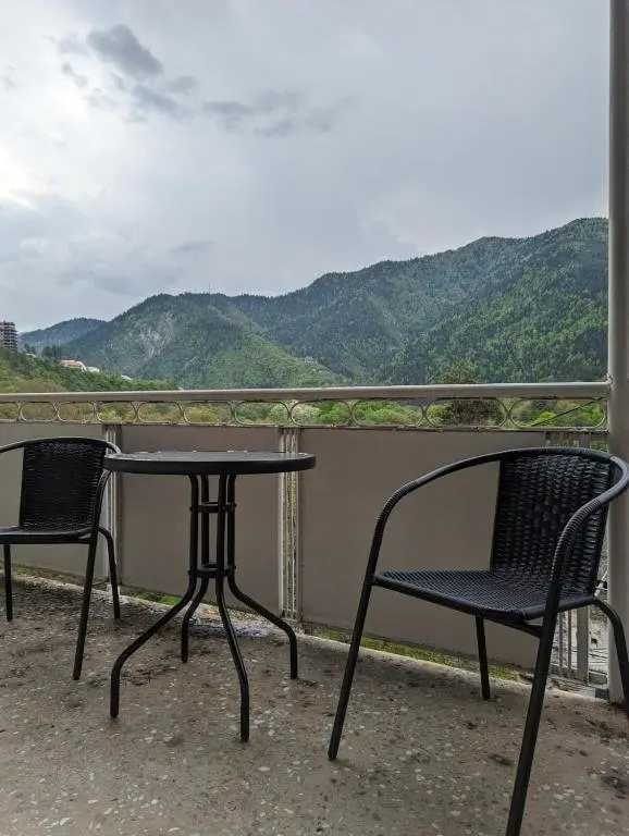 Боржоми: Holiday House Likani