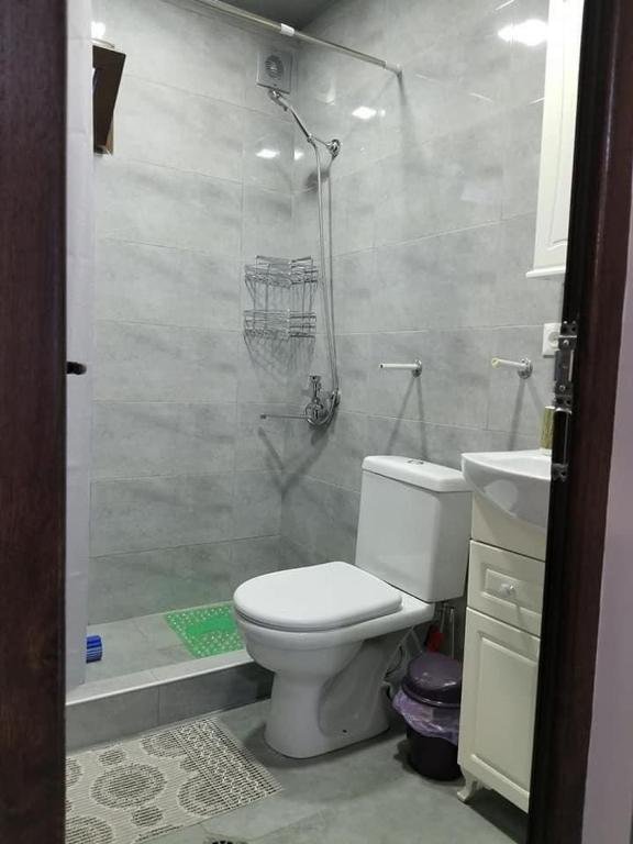 Боржоми: Apartment SA_NI