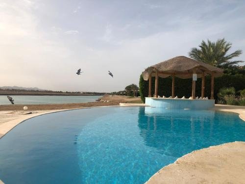 Хургада: 3 Bed Rooms Villa In El Gouna