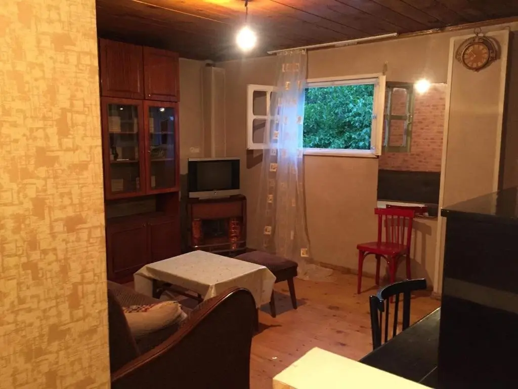 Боржоми: Guesthouse Likani