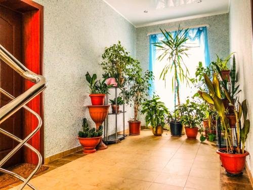 Домодедово: Guest House Darina In Vostryakovo
