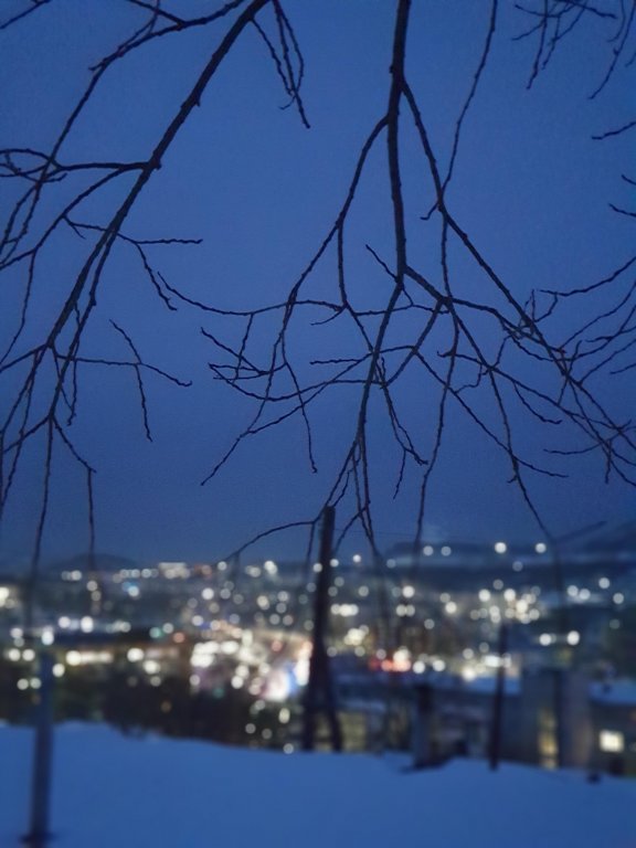 Петропавловск-Камчатский: Гостевой Дом Kraft House Kamchatka