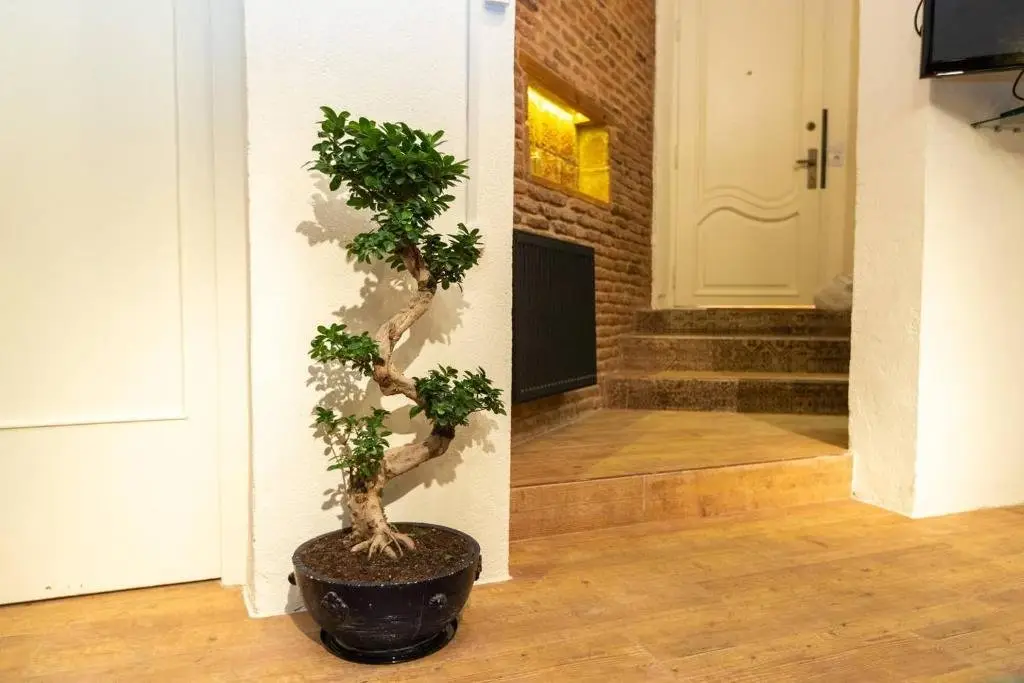 Тбилиси: 2 bedroom apartment in the heart of Tbilisi