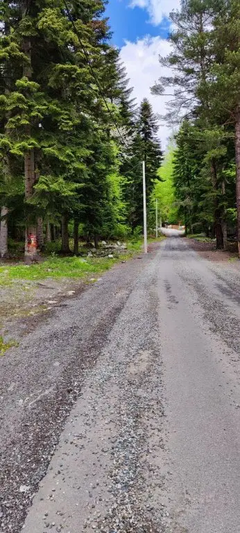 Архыз: Архыз отель парк