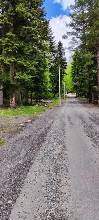 Архыз: Архыз отель парк