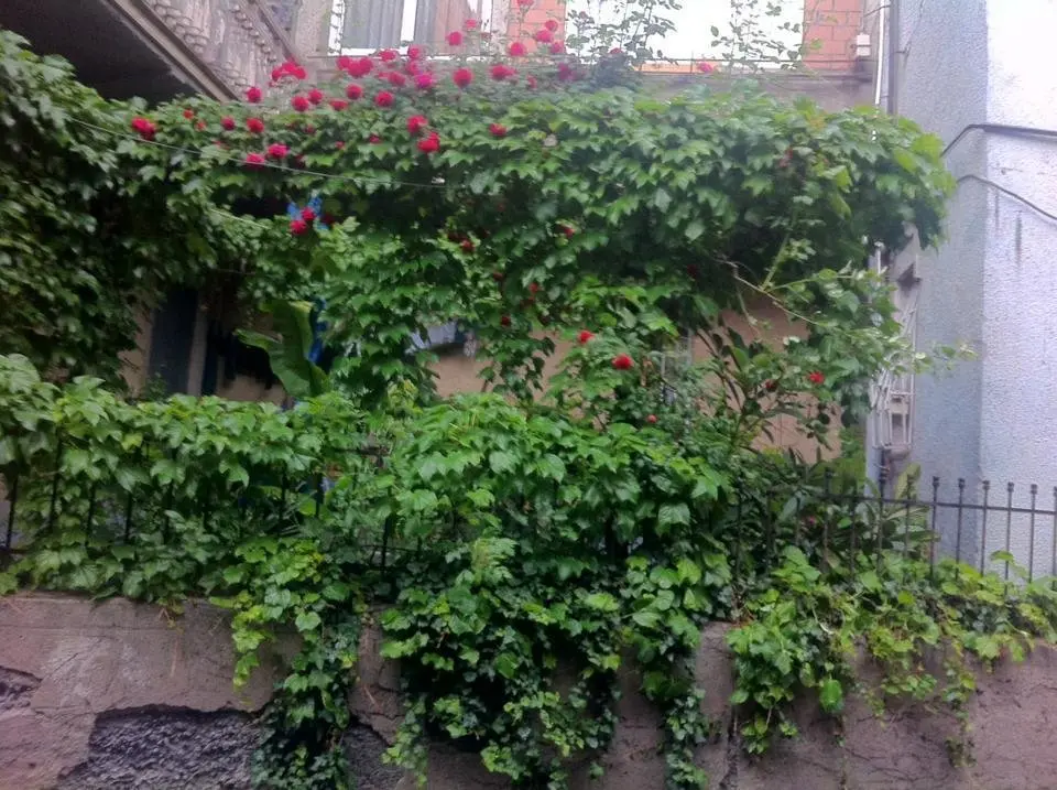 Тбилиси: Apartment Near Sharden