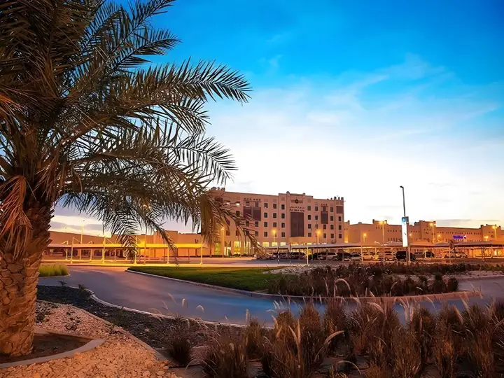 Эль-Айн: Ayla Bawadi Hotel & Mall