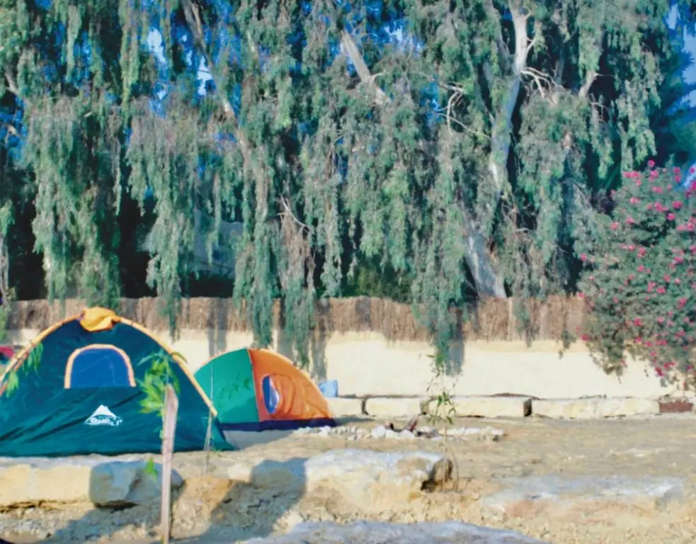 Эль-Файюм: Tunis Tone - Tunis Village Campsite