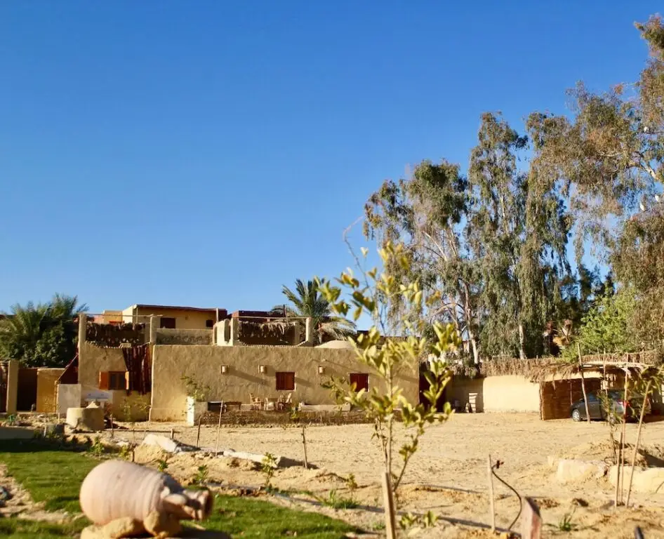 Эль-Файюм: Tunis Tone - Tunis Village Campsite