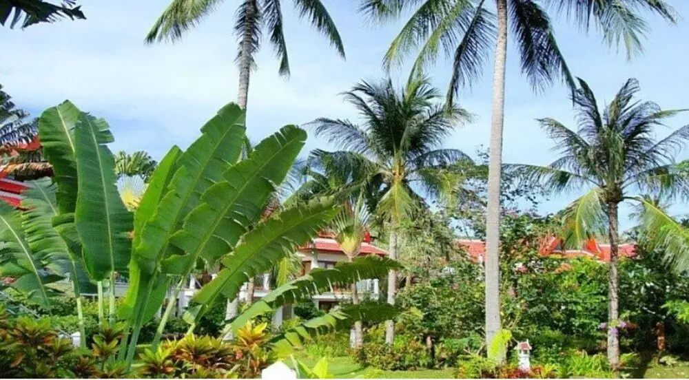 Самуи: Royal Living Koh Samui - Fantastic With Jacuzzi - Villa 4